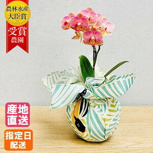 yukata de Ӓ 3 1{ }CN sN Mt  C~   ~jӒ   a Mtg v[g  j ސEj zj җ Ê   hV̓ c 