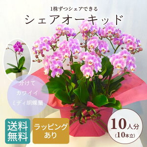 VFA I[Lbh 1010F ( 10l ) ~fB Ӓ /  v[g Mtg ~jӒ ~fBӒ A  t[Mtg av[g p[eB[ p[eB   񂹐A 