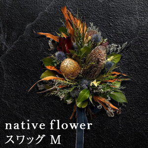 ylCeBut[ AWgzt[AWg XbO j JXj  v[g Mtg  I[XgA j[W[h NX}X a [X C