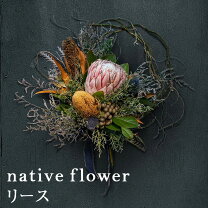 楽天市場】ネイティブ（ドライフラワー｜花・観葉植物）：花・ガーデン 