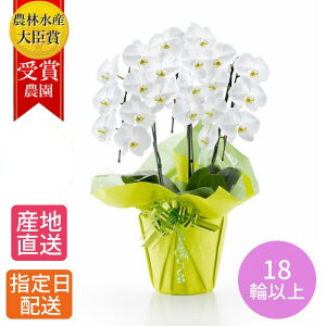 A  Mtg Ӓ wӒ  3{ 18ֈȏ x Ԕ v[g      蕨 ` 60  j Nj JXj JƏj ړ]j Ij ACj