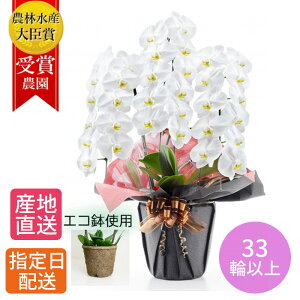 ֌Ӓ  3{ 33ֈȏ GR A  JXj ސEj Vzj Mtg v[g j  p