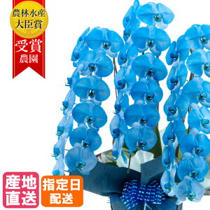 Ӓ  lCr[ / u[ 3{ 33ֈȏ MIYABI /  F ō ֌Ӓ R`E Ӓ ACj Mtg 傤 j JXj v[g   a  j 