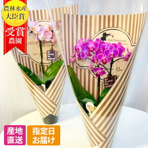 ~fB Ӓ 2{ 3.5 in your room u[P sN zCg  A Mtg v[g Ӓ Ԕ ~jӒ ~fBӒ ~j  a 蕨  `  җj j Ε