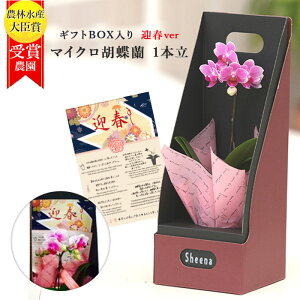 y}tverz}CN Ӓ 1{ 2.5 sN 2WAY BOX /  A  a v[g Mtg ~jӒ ~fBӒ ~j j t[  av[g Mtg JXj