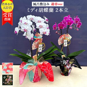 y}tverz~fBӒ 2{ 4 C~  sN  a s {  ~jӒ ~j t[ av[g Mtg җj j Ê  Ď P Ε 