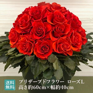 vU[uht[ [YL/ j j j V z a LO v[g 䒆   hCt[   MtgސEj ʉ  Cj AW