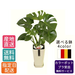 ϗtA Xe 6 J?|bg /   A   CeA p A { 픫  j j JƏj I[v Vz z  V v[g 䒆 