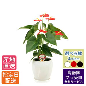 ySSzϗtA AXE AX[ C`sI 5 ۓ /  A   CeA A  Vv  j JƏj I[v Vz z v