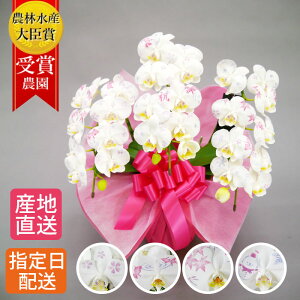 ~fB ϗ 3{   a v[g   Mtg Ӓ  j j JXj JƏj ړ]j ACj Vzj zj j j N ݗ 䌩