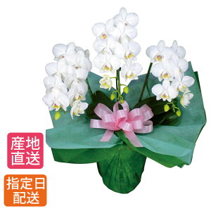 ~fB Ӓ 3{   A Mtg v[g Ӓ }CN Ӓ Ԕ   ~jӒ ~fBӒ ~j  zCg a 蕨  `  җj j I