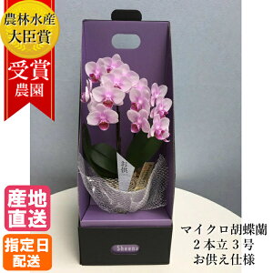 y10%ItΏہz y䕧Oԁz}CN Ӓ 2{ 3 2WAY BOX sN/̉ V̉      ʖ V ʎ @v  d  @   