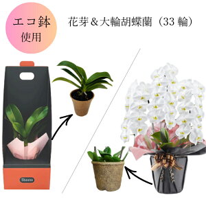 GR t Ӓ̕c VO 2.5 ԉ2{t Ӓ  3{ 33ֈȏ    j ACj a v[g Mtg  j j j JXj JƏj N j