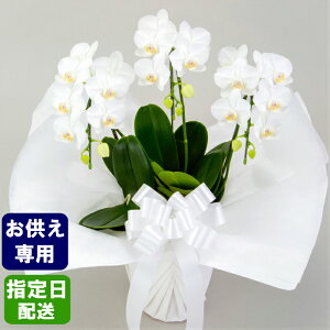 y䕧Oԁz  ~fB Ӓ 3{ /̉ V̉  ݕ   ʖ V ʎ @v  d  @   O  \O N 
