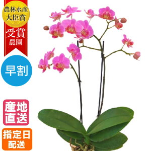 y10%ItΏہz ~fB Ӓ 2{ _u vX`bN|bg in your room sN  A v[g Mtg ~jӒ ~fBӒ j }CN Ԕ JXj JƏj ړ]j 