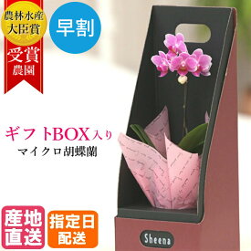 楽天市場 鉢植え 花 室内の通販
