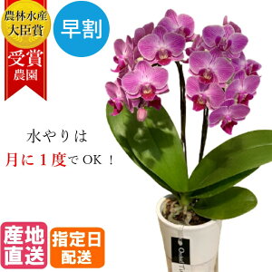 鉢植え ポットの人気商品 通販 価格比較 価格 Com