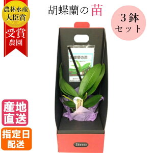 夏 苗 生花の人気商品 通販 価格比較 価格 Com