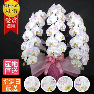  ϗ Ӓ 3{ /  A  j j j v[g Mtg 蕨 T nLO N LO JXj J AC Vz z   N җ  I 