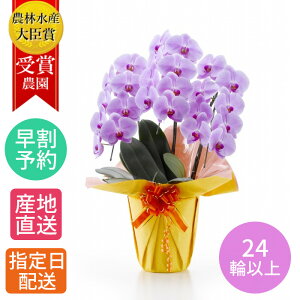  A  Mtg Ӓ wӒ  sN 3{ 24ֈȏx Ԕ v[g     蕨 `  j j N  JXj ACj