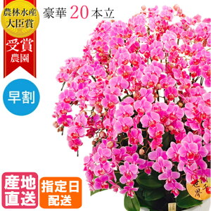 ~fB Ӓ 20{ 13 琢E sN   A  a v[g Mtg t[Mtg ֌Ӓ j j JXj JƏj ړ]j ACj i z  