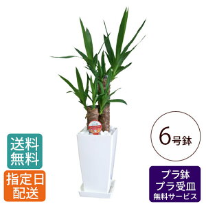 ϗtA bJ 6 pv / bJ  A   CeA p A {  j JƏj I[v Vz z  V v[g 䒆  Mtg