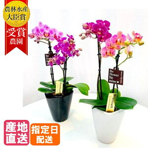 y10%ItΏہz }CNӒ MIX 2{ 3 sN CG[ F P Ď  A Mtg v[g Ӓ Ԕ  ~jӒ ~fBӒ JXj JƏj ACj ړ]