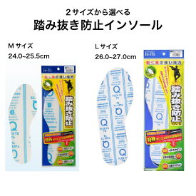 踏み抜き防止インソール 選べる2サイズ　1足分【メール便送料無料】 is-fit Mサイズ Lサイズ