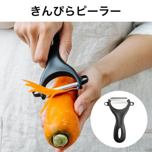 ҂s[[@AL-256 y[֑z TNtg