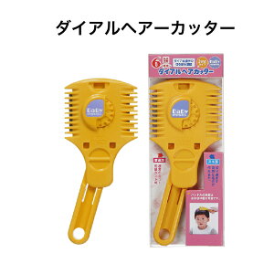 _CAwAJb^[ BA-111 O[x s[֑t qp U͂