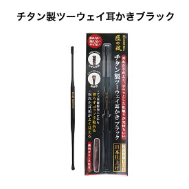 匠の技 チタン製 ツーウェイ 耳かき ブラック ケース付き G-2300 グリーンベル 《メール便送料無料》