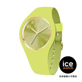 【楽天SS★40％OFF】アイスウォッチ 日本公式ショップ 腕時計 ICE-WATCH ICE duo chic ライム スモール+