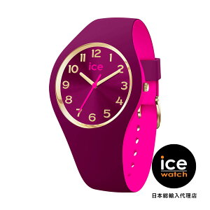 ICE-WATCH / ACXEHb` ICE duo chic - o[KfB[sN - S34 - 3H