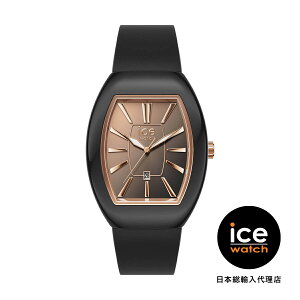 ICE-WATCH / ACXEHb` ICE boliday - h[ - ubNTZbgRG - X[ - 3H+D