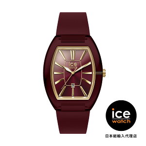 ICE-WATCH / ACXEHb` ICE boliday - h[ - `F[ - X[ - 3H+D