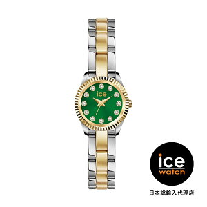 ICE-WATCH / �A�C�X�E�H�b�` ICE mimi - �V���o�[�S�[���h�I���[�u - 19mm - 3H