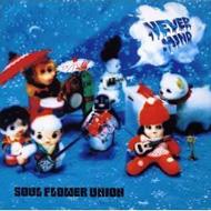 全国一律送料無料 Soul Flower Union ソウルフラワーユニオン CD エエジャナイカ 新作 大人気