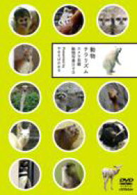動物チラリズム カメラ目線動物写真DVD 【DVD】