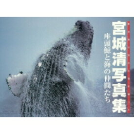 楽天市場 クジラ 写真集の通販