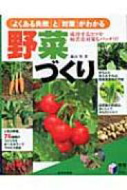 「よくある失敗」と「対策」がわかる野菜づくり 実用BEST　BOOKS / 藤田智 【本】