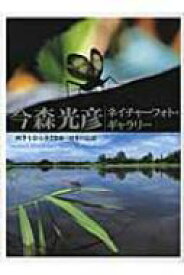 今森光彦ネイチャーフォト・ギャラリー 四季を彩る小さな命・日本の昆虫 / 今森光彦 【本】
