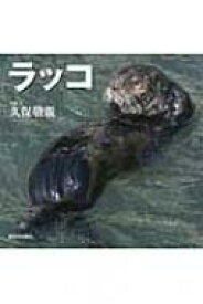 楽天市場 ラッコ 絵本の通販