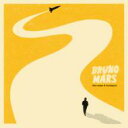 Bruno Mars ブルーノマーズ / Doo-wops &amp; Hooligans (アナログレコード / 1stアルバム) 【LP】