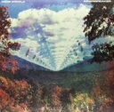 Tame Impala タームインパラ / Innerspeaker 【LP】