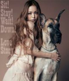 安室奈美恵 / Sit!Stay!Wait!Down! / Love Story 【CD Maxi】