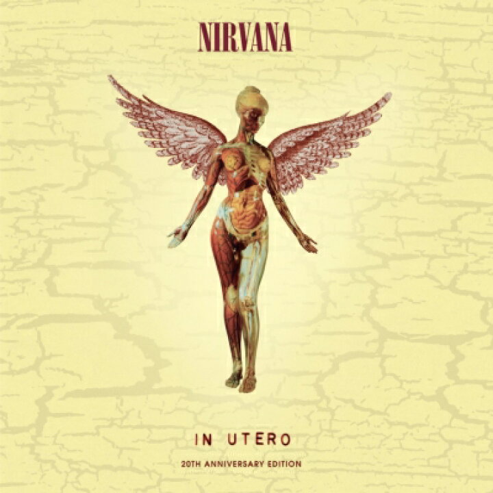 楽天市場】【輸入盤】 Nirvana ニルバーナ / In Utero: 20th 