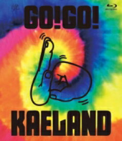 木村カエラ / KAELA presents GO!GO! KAELAND 2014 -10years anniversary- 【Blu-ray通常盤】 【BLU-RAY DISC】