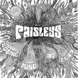 Paisleys / Cosmic Mind At Play 【LP】
