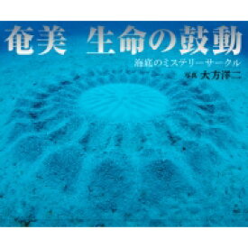 楽天市場 ミステリーサークル 日本の通販 楽天市場 ミステリーサークル 日本の通販