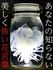楽天市場 あなたの知らない美しく怖い花言葉の通販 楽天市場 あなたの知らない美しく怖い花言葉の通販